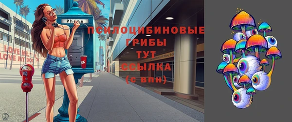 прущие крисы Абаза